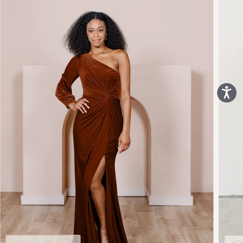 Revelry Aurora One Shoulder Velvet Dress in Rust